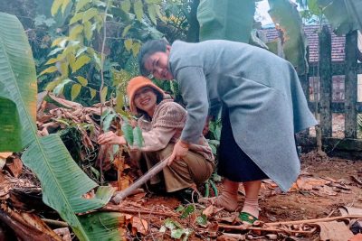 HƯỞNG ỨNG TẾT TRỒNG CÂY CỦA TRƯỜNG MẦM NON BA NAM